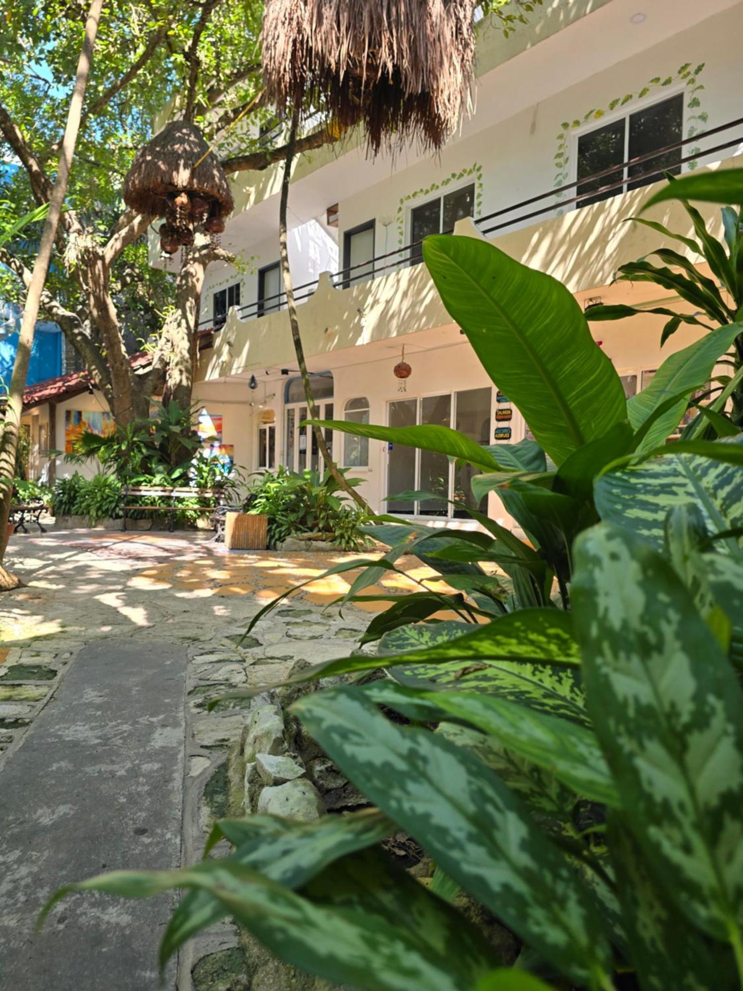 Hotel Ha Garden Gallery - 5Th Avenue Playa del Carmen Esterno foto
