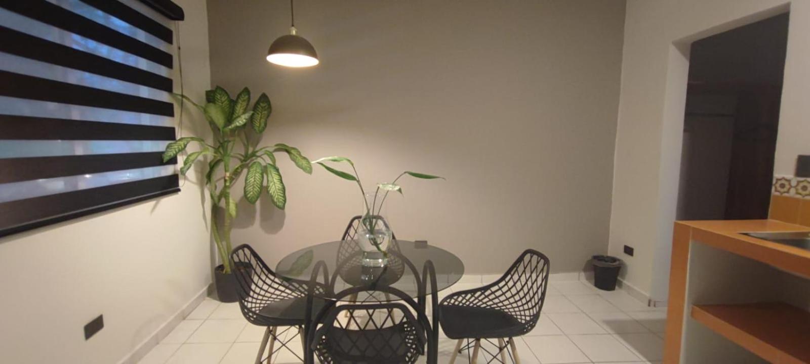 Hotel Ha Garden Gallery - 5Th Avenue Playa del Carmen Esterno foto