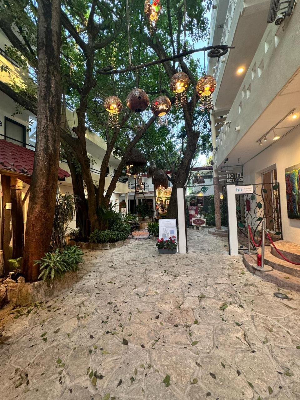 Hotel Ha Garden Gallery - 5Th Avenue Playa del Carmen Esterno foto