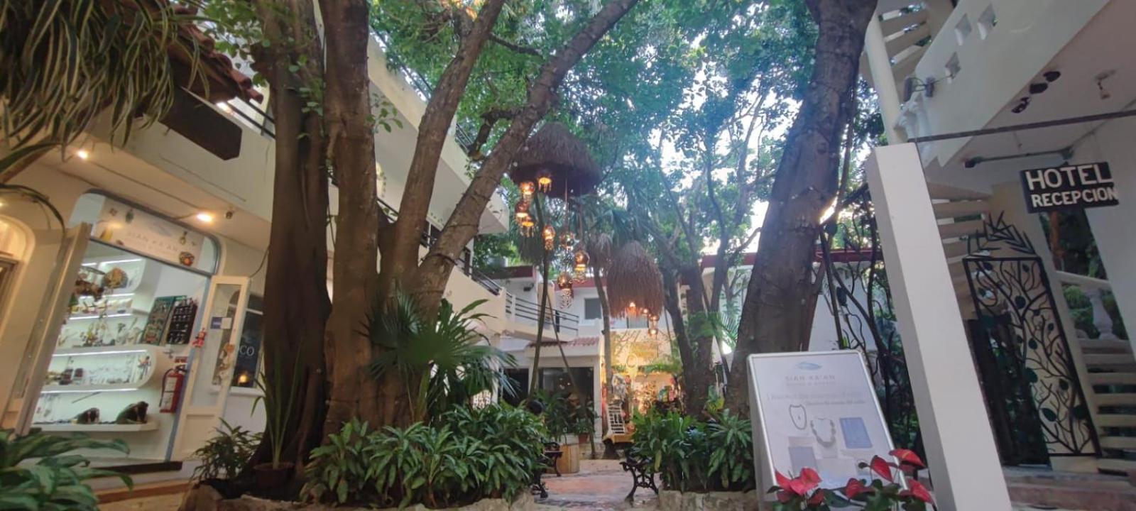 Hotel Ha Garden Gallery - 5Th Avenue Playa del Carmen Esterno foto