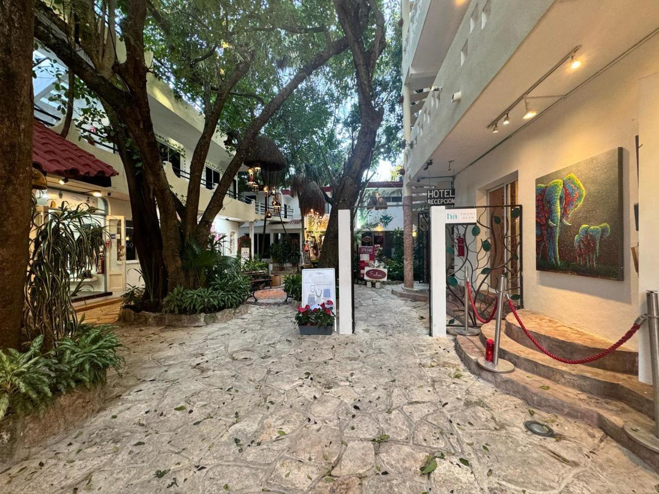 Hotel Ha Garden Gallery - 5Th Avenue Playa del Carmen Esterno foto