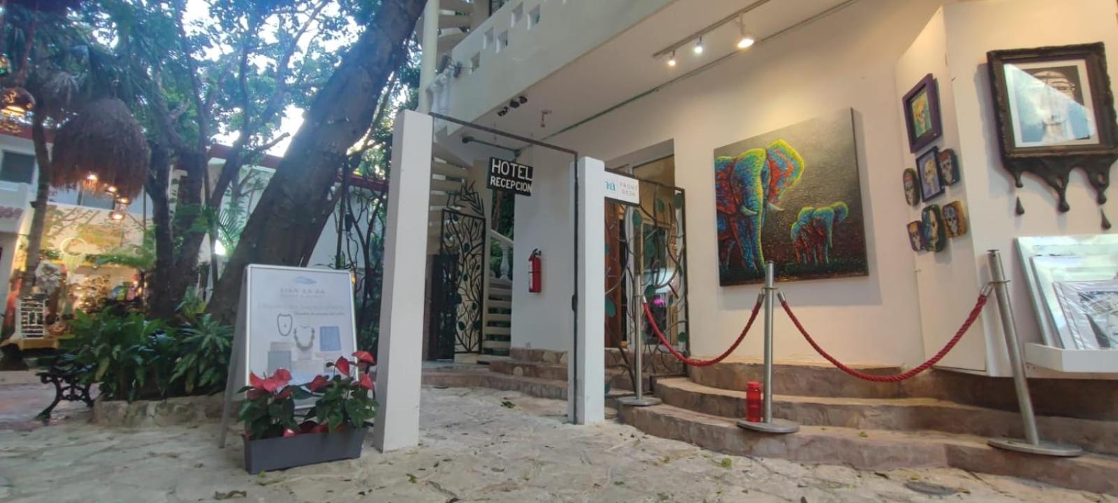 Hotel Ha Garden Gallery - 5Th Avenue Playa del Carmen Esterno foto